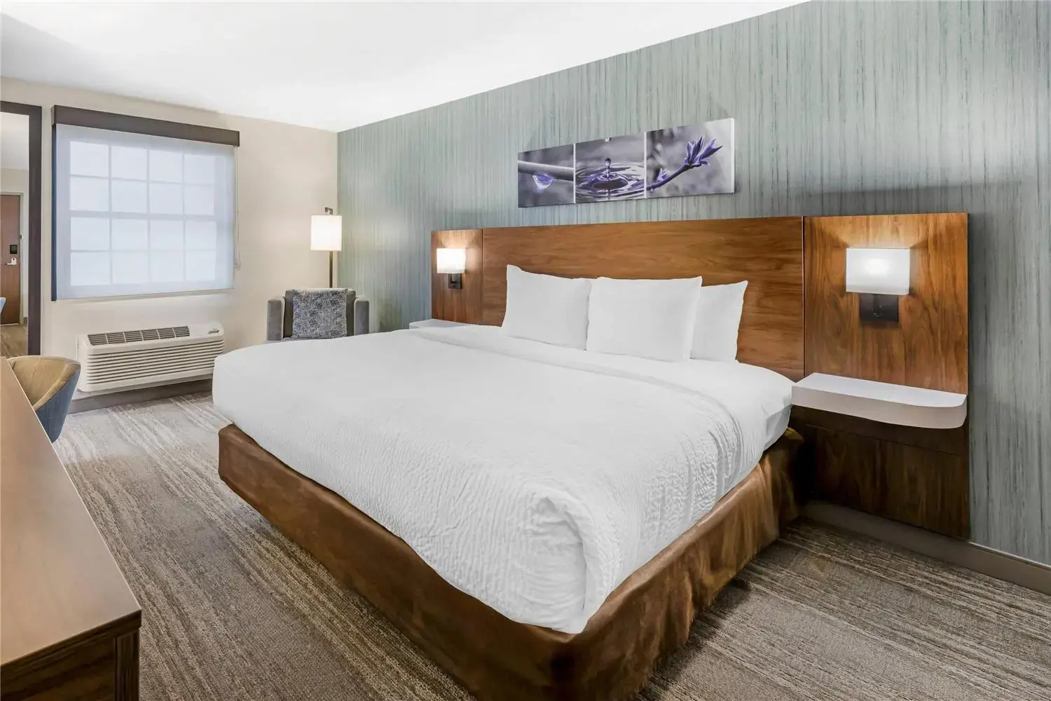 Foto - Sleep Inn Oakbrook Terrace - Chicago