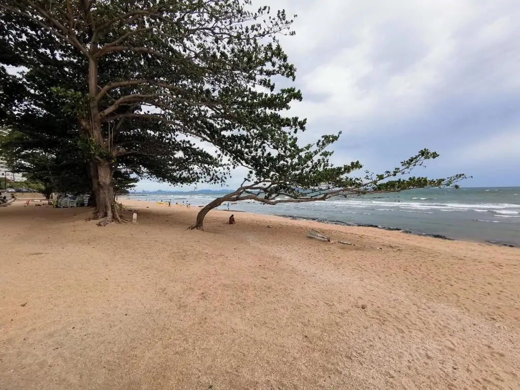 Photo - Dojo pool villa