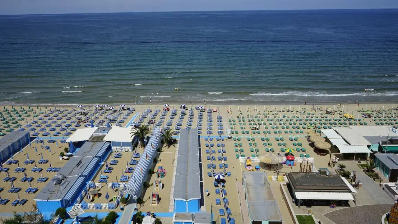 Photo - Charlie in Pesaro