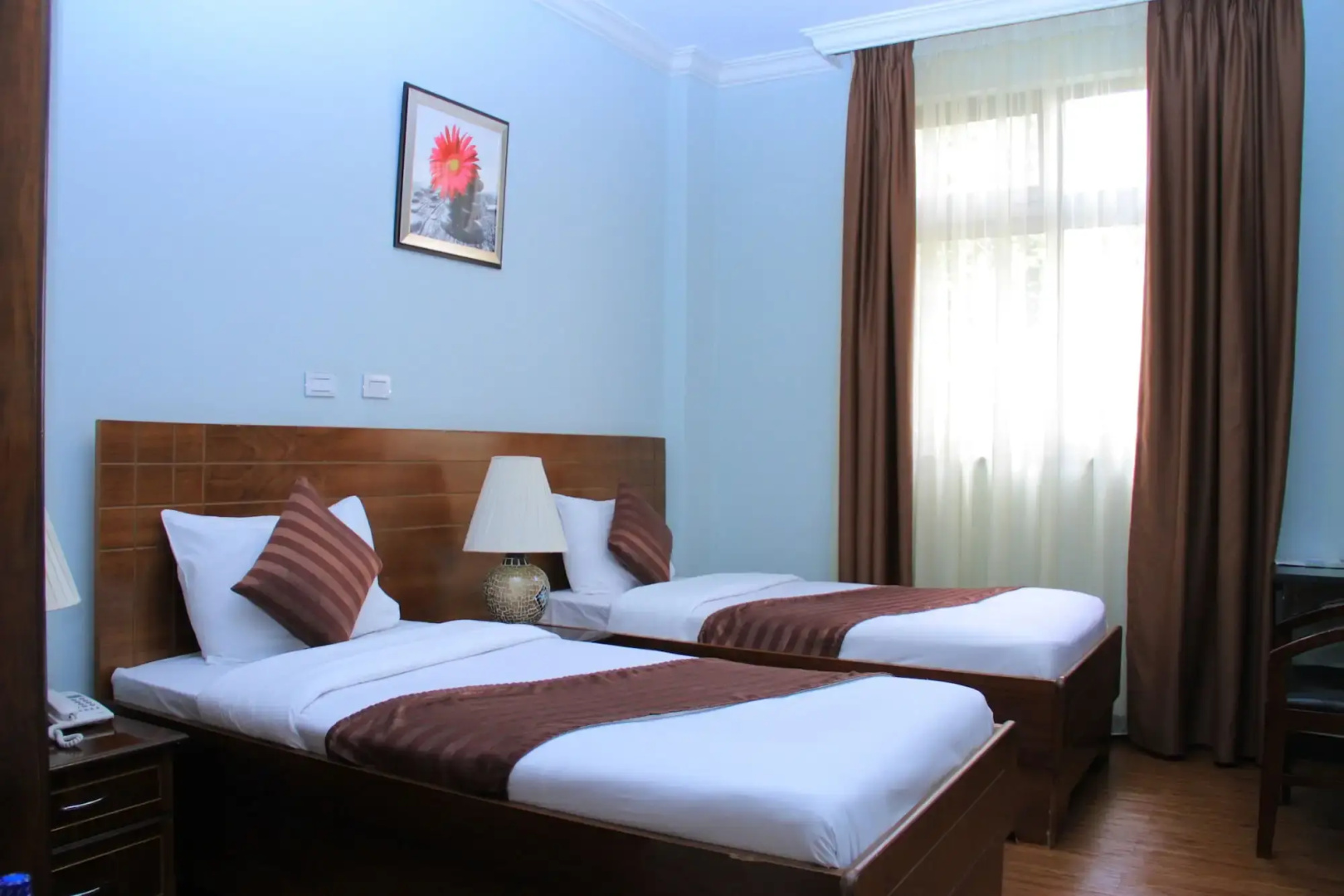 Foto - Hotel Lobelia