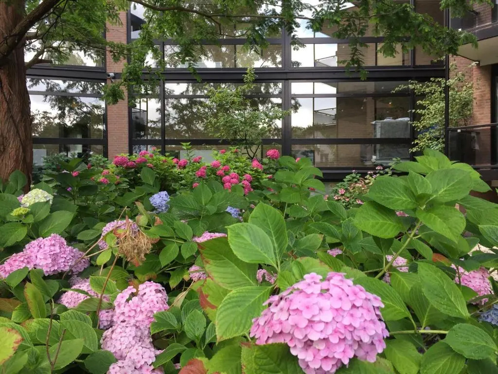 Foto - Van der Valk Hotel Leiden