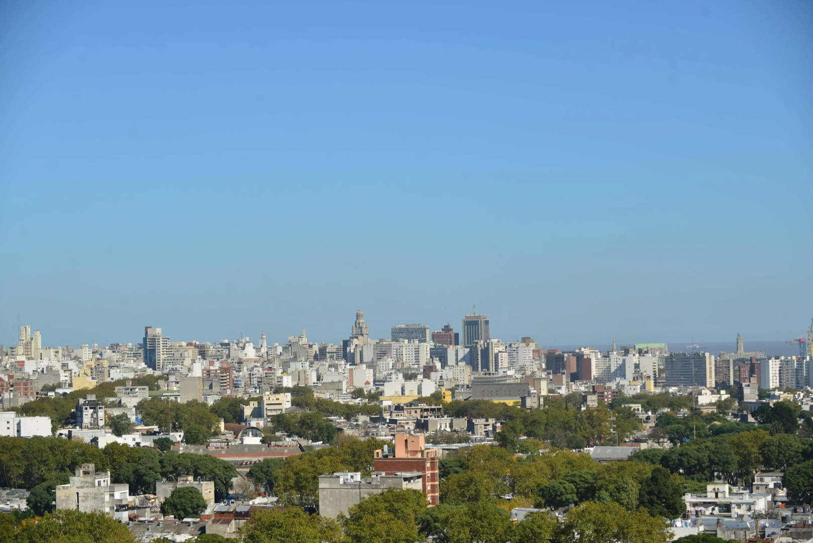 Foto - Alfa Suites - Montevideo