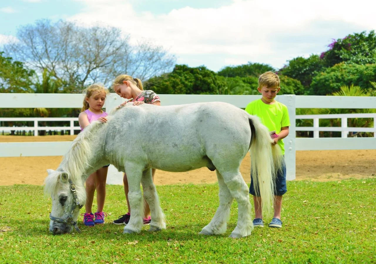Foto - Maritim Resort & Spa Mauritius