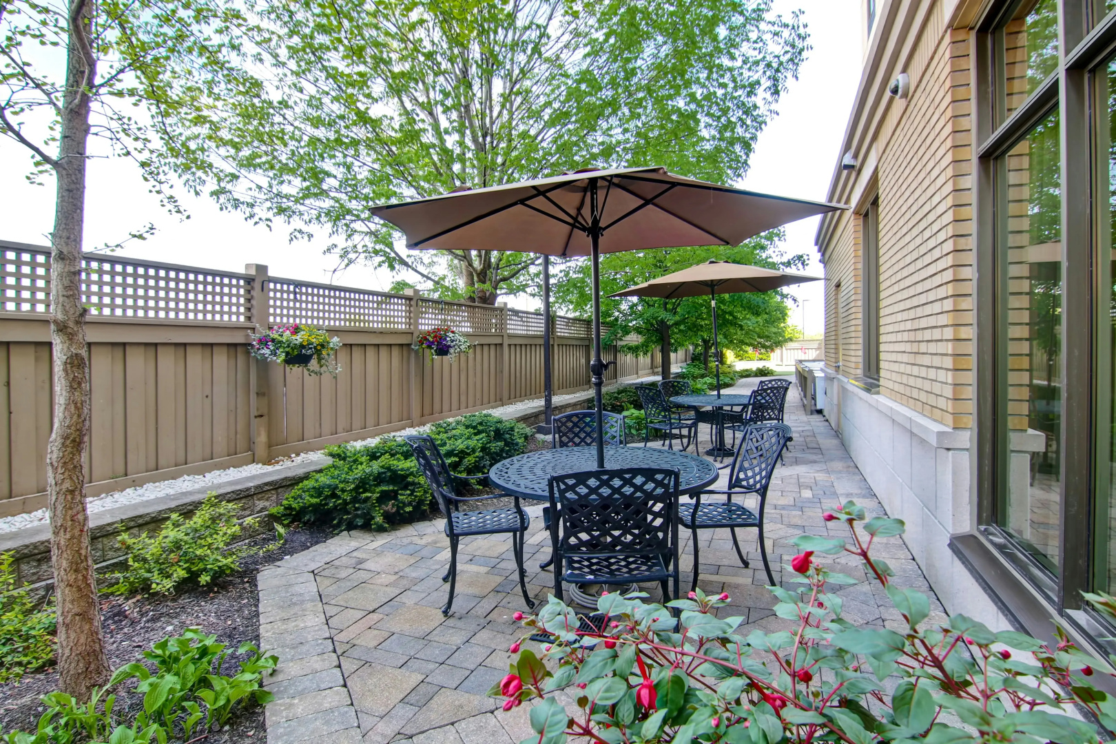Foto - Homewood Suites by Hilton Toronto Airport Corporate Centre