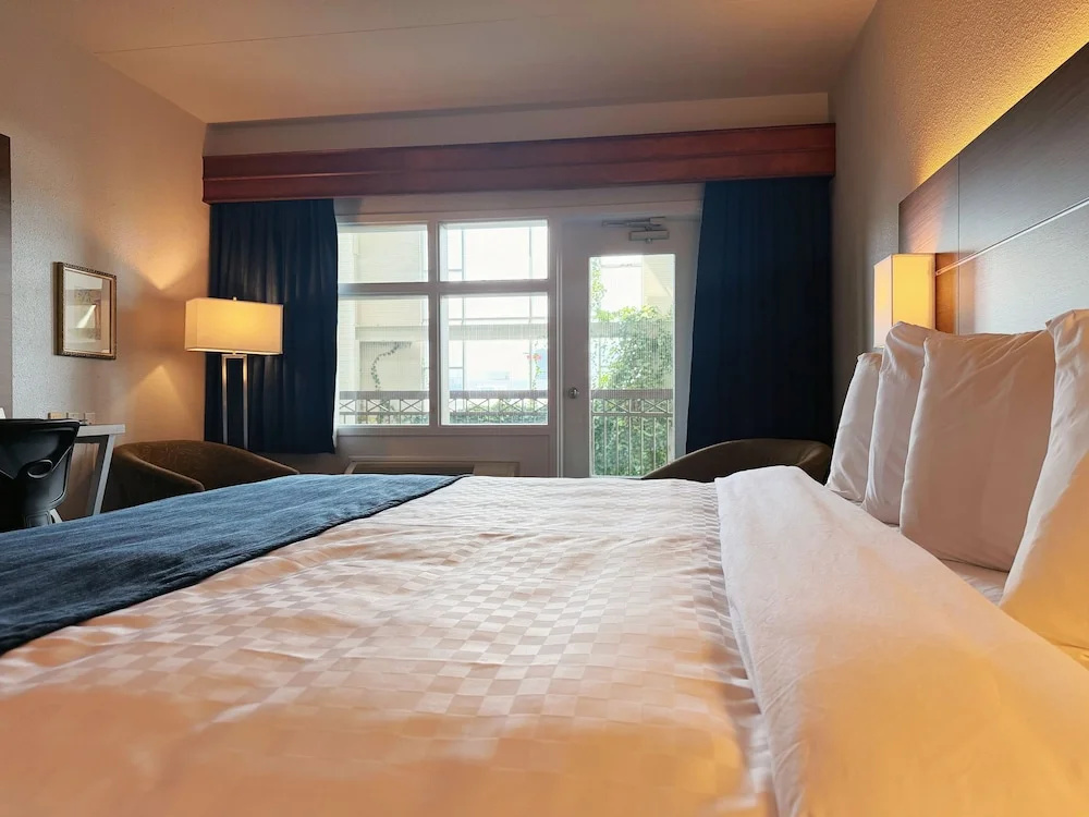Foto - Hotel L'Oie des neiges