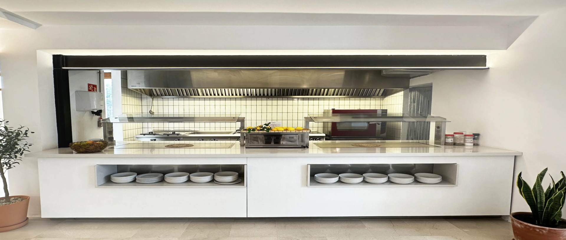 Foto - Hotel SunClub CalaVinya - Adults Recommended