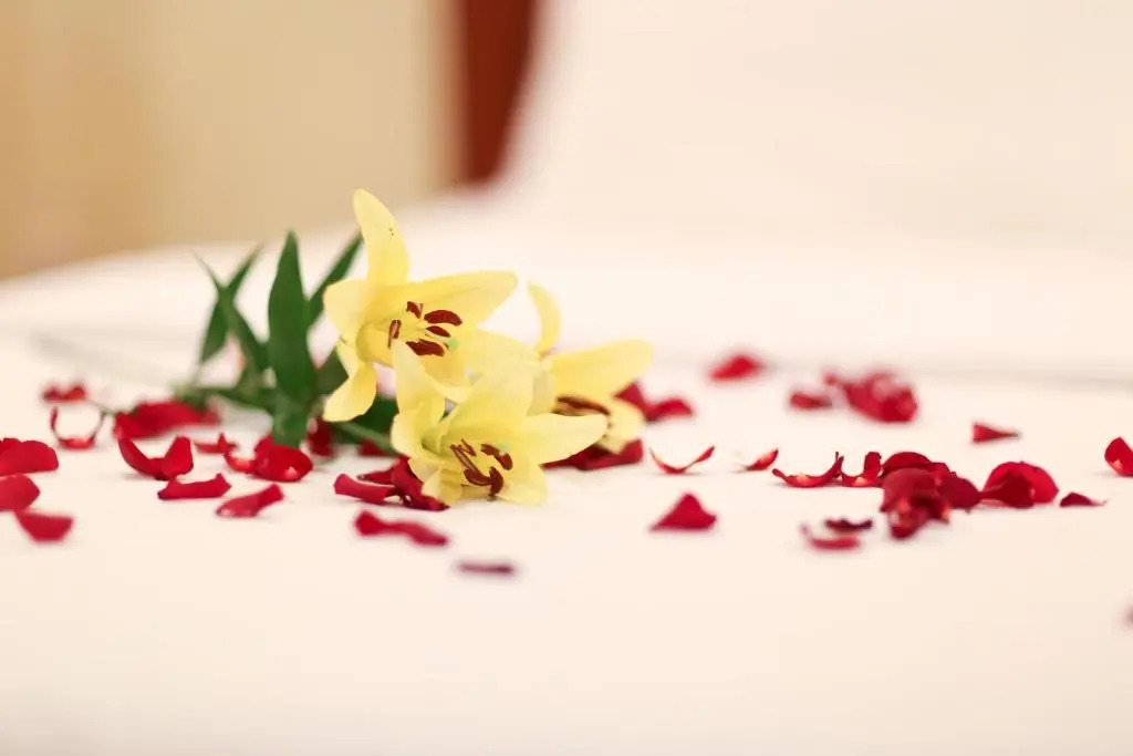 Foto - Golden House International Hotel