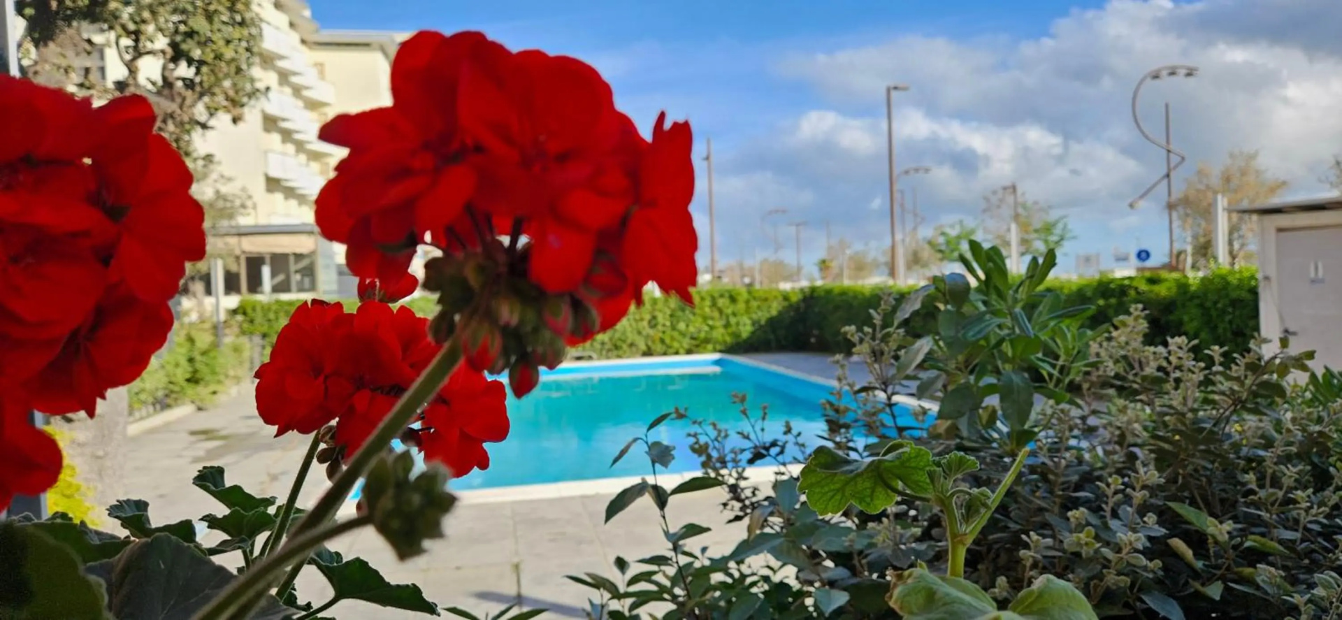 Photo - Park Hotel Rimini