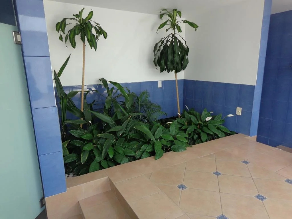 Foto - Hotel GS Cuernavaca