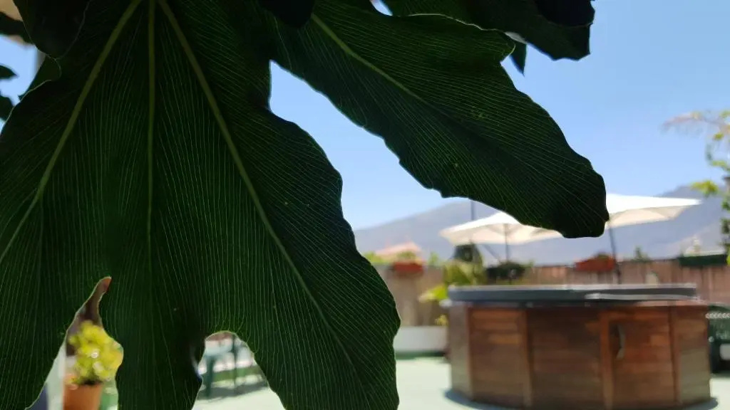Foto - Posada Alpujarra Sol
