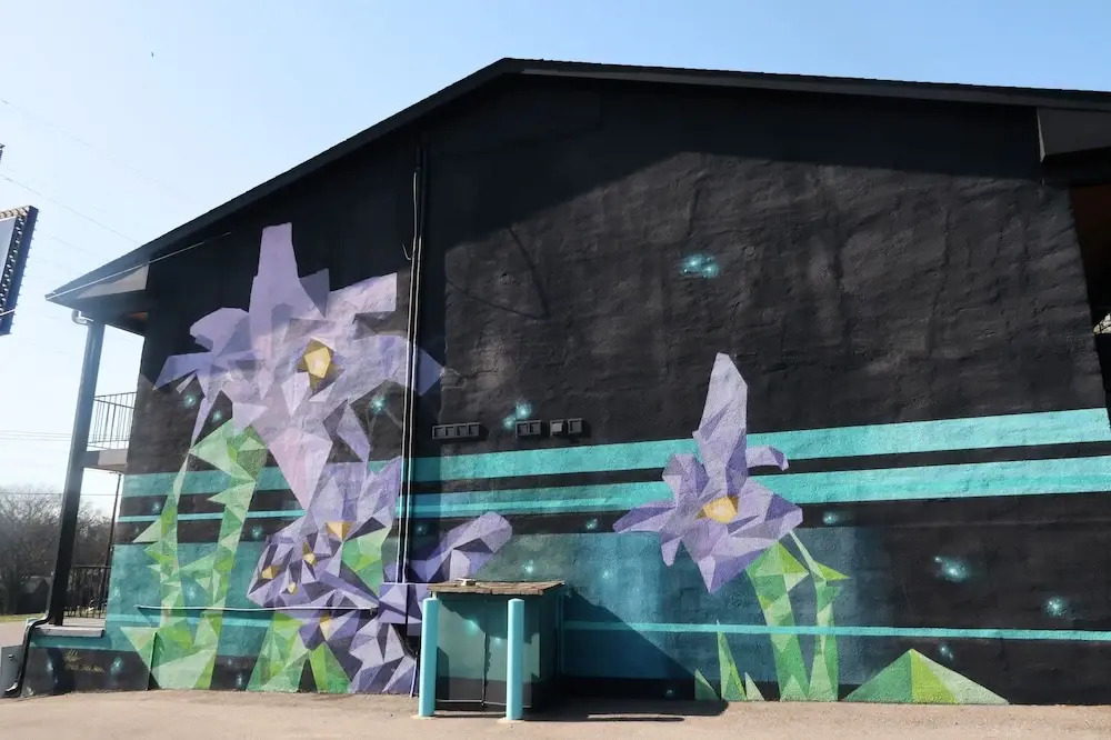 Foto - The Iris Motel