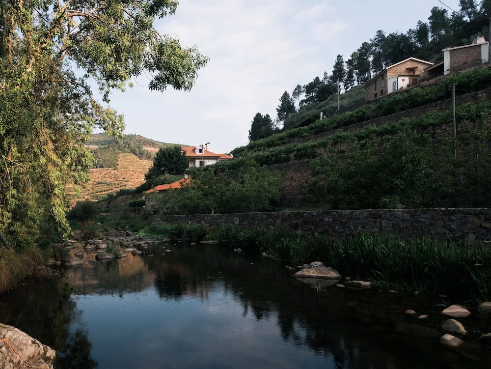 Photo - Quinta de Recião
