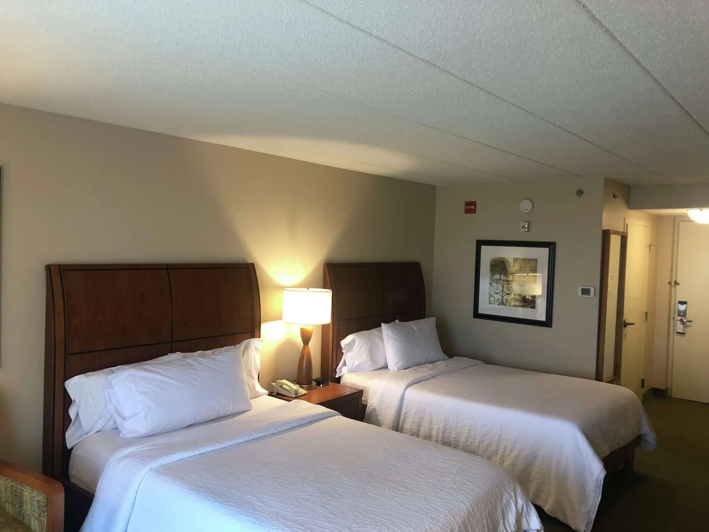 Foto - Hilton Garden Inn Addison