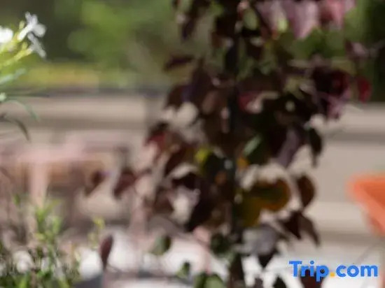 Foto - Hotel Oceania Lyon