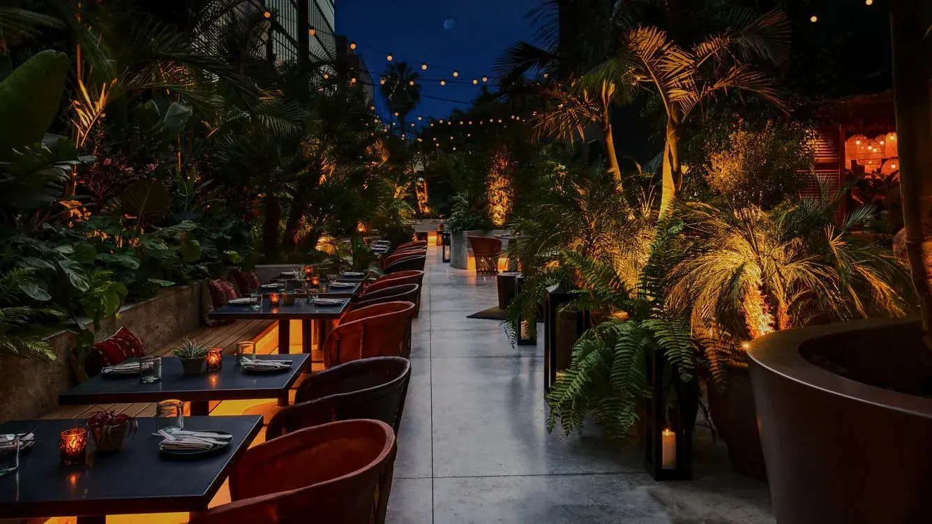 Photo - HOLLYWOOD VOLUME, a Tribute Portfolio Hotel