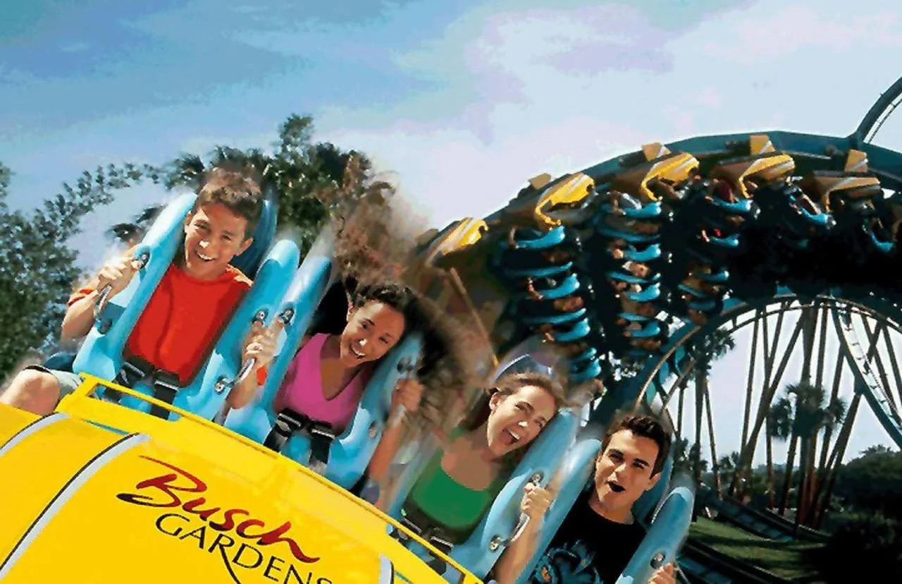 Photo - Hampton Inn & Suites Tampa-North