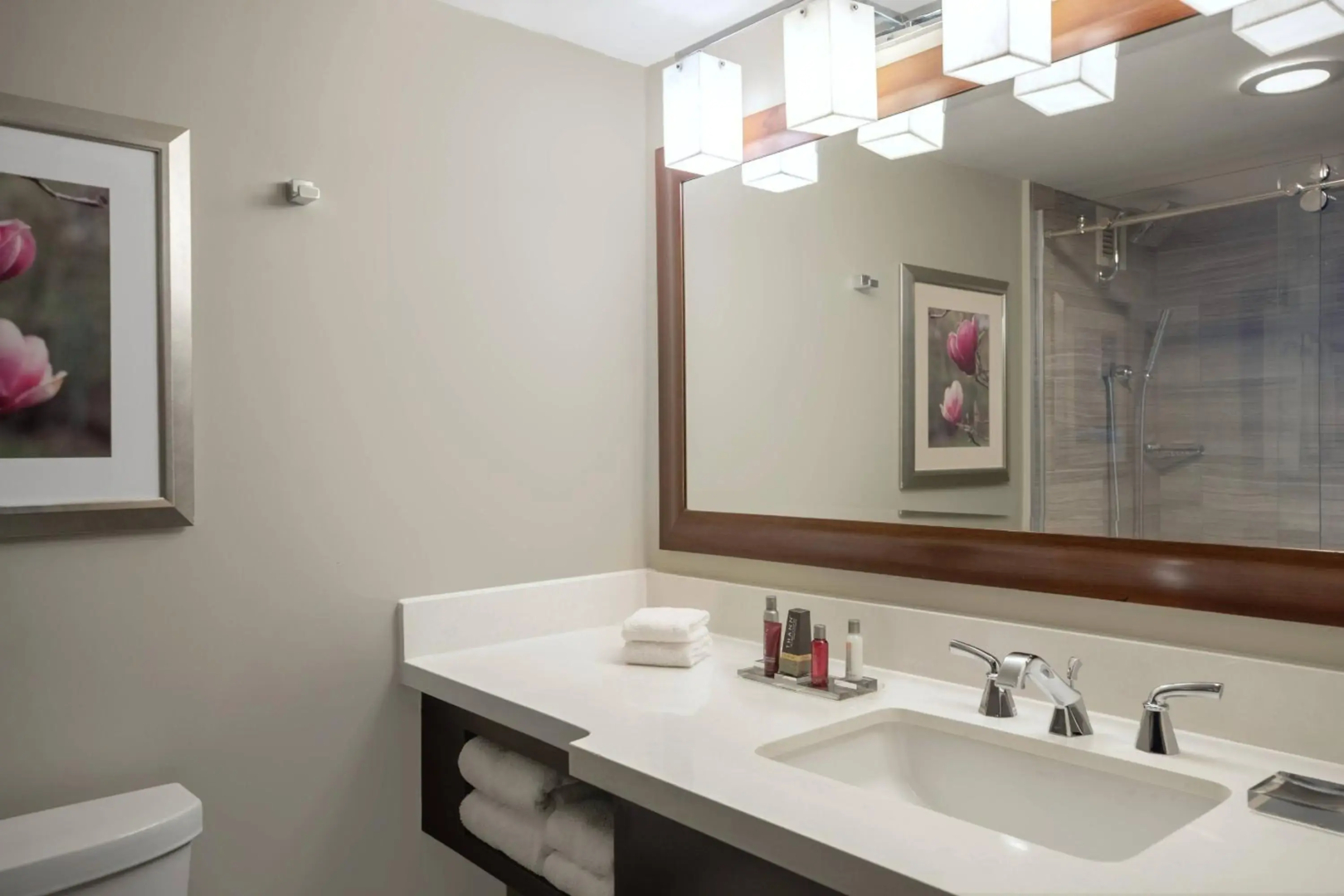 Foto - Fairfield Inn & Suites by Marriott Atlanta Perimeter Center