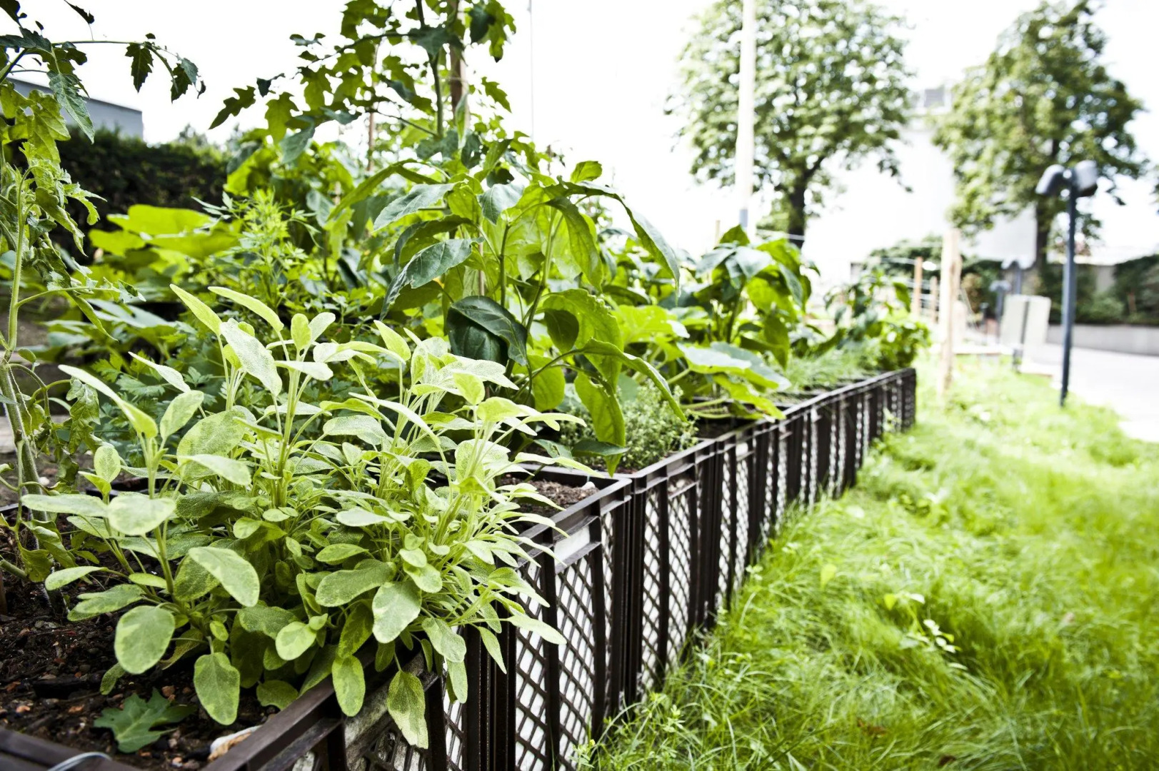 Photo - Hotel Daniel Vienna - Smart Lifestyle Near City Centre