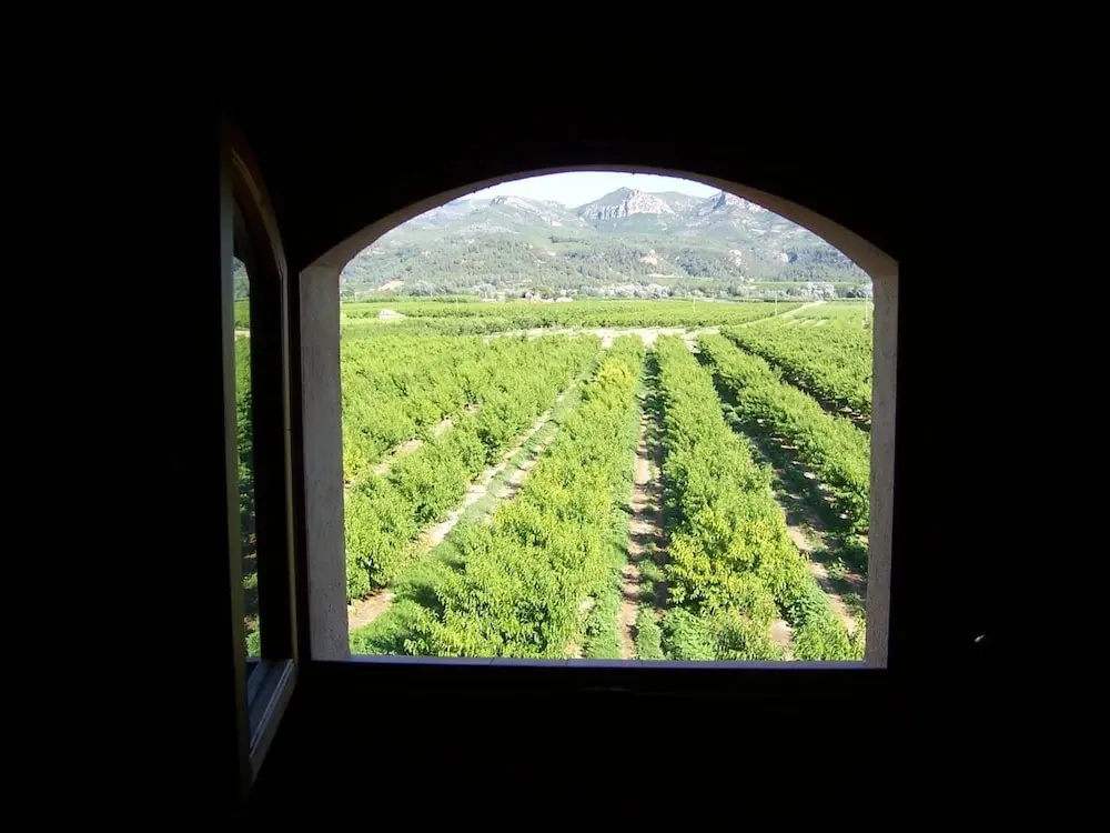 Photo - Mas Taniet Hotel Rural