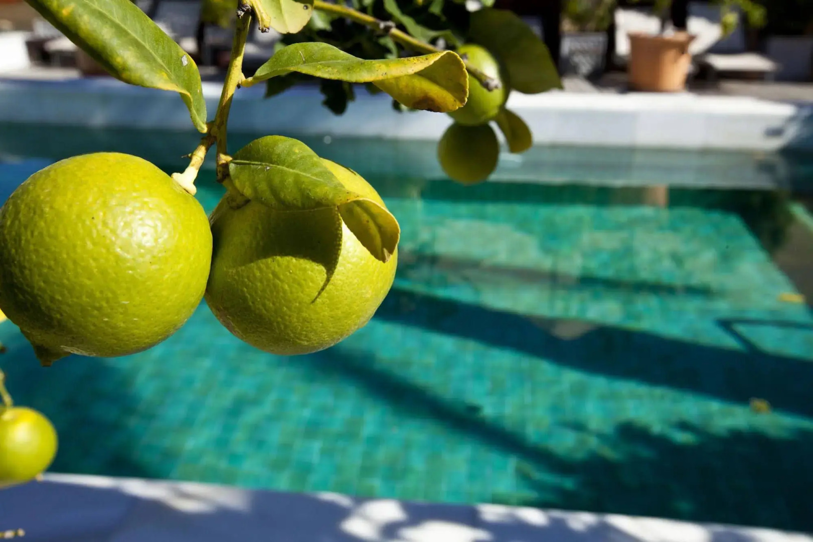 Foto - Rio Real Golf & Hotel