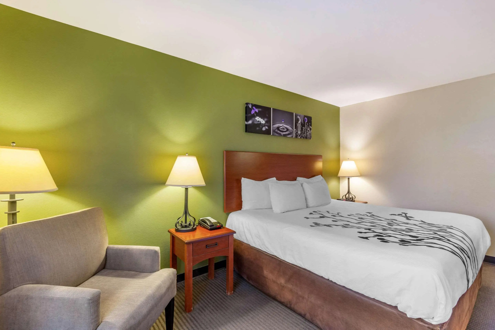 Foto - Sleep Inn & Suites Jacksonville West