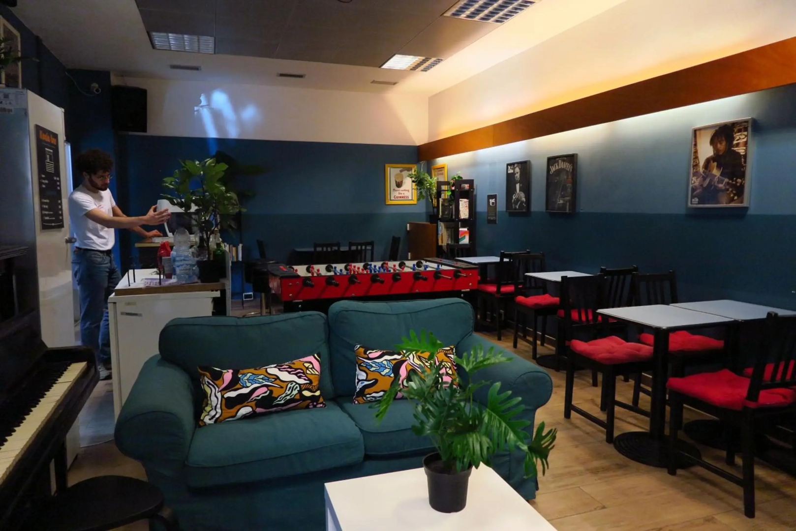 Photo - Koala Hostel