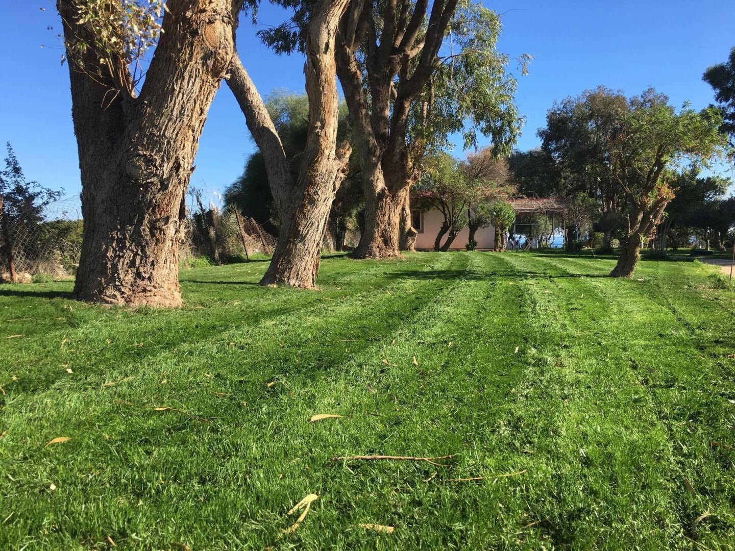 Foto - Eco Beach And Magic Garden Hotel