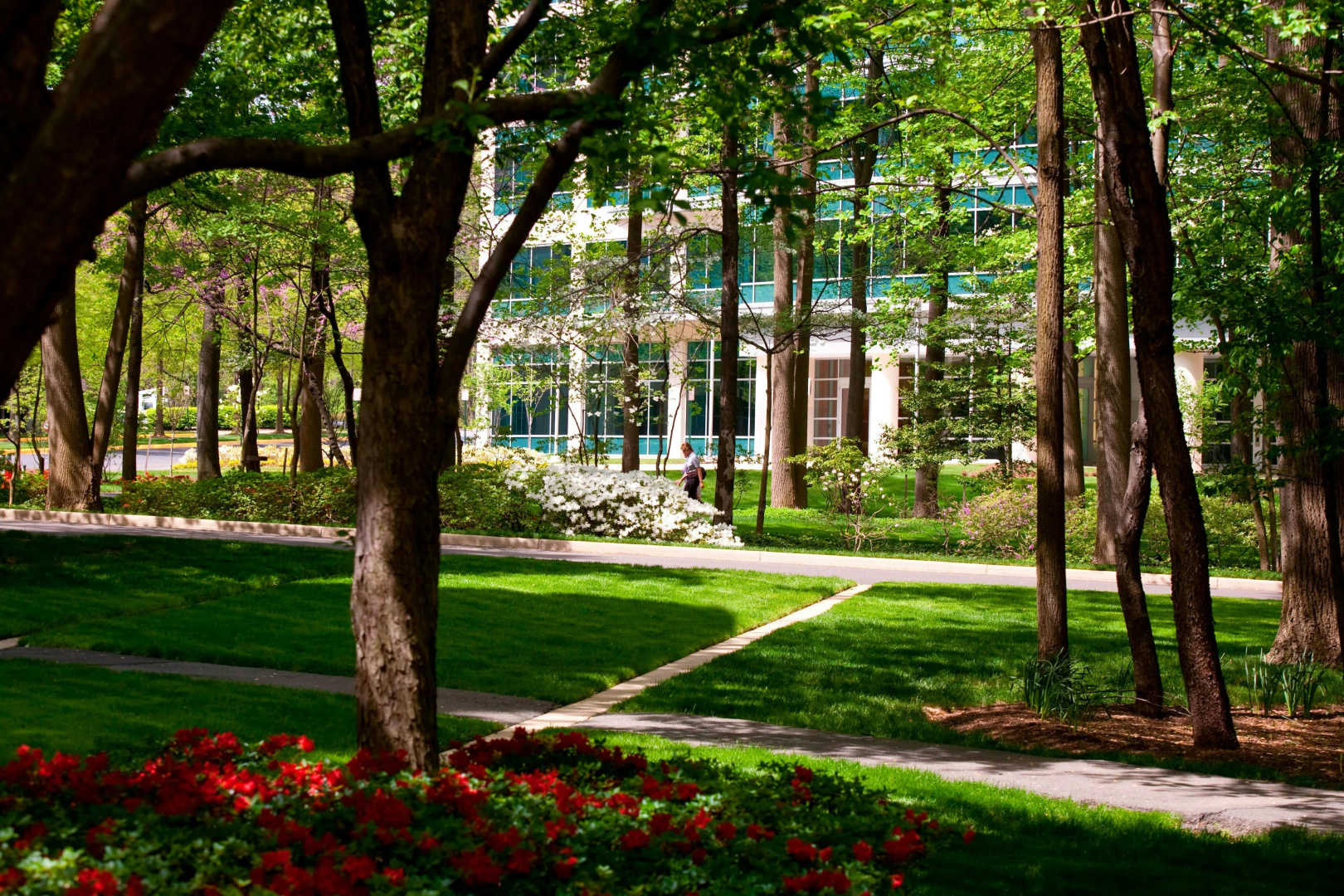 Foto - Falls Church Marriott Fairview Park