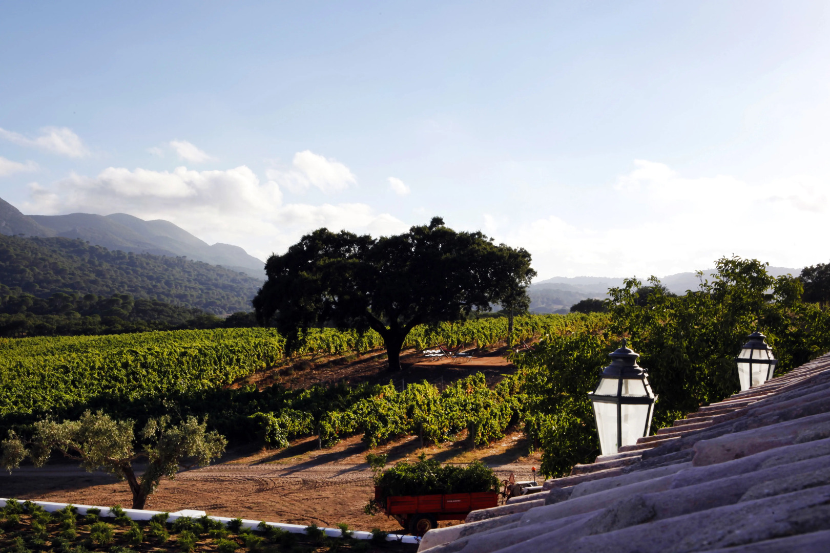 Foto - Hotel Casa Palmela - Small Luxury Hotels of The World, Hotel & Villas