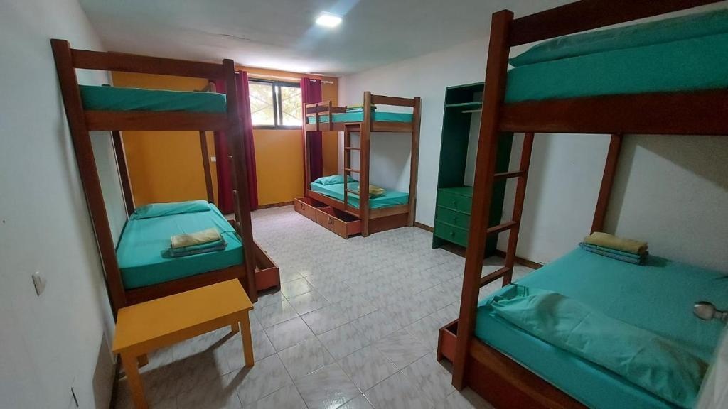 Surf House Hostel