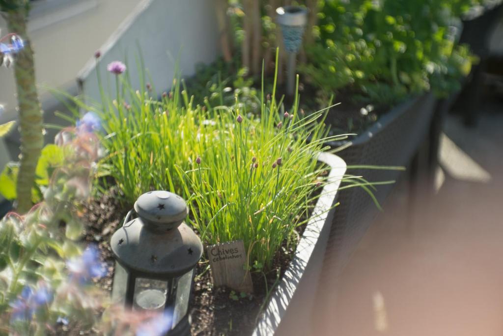 Photo - Sunset Destination Hostel