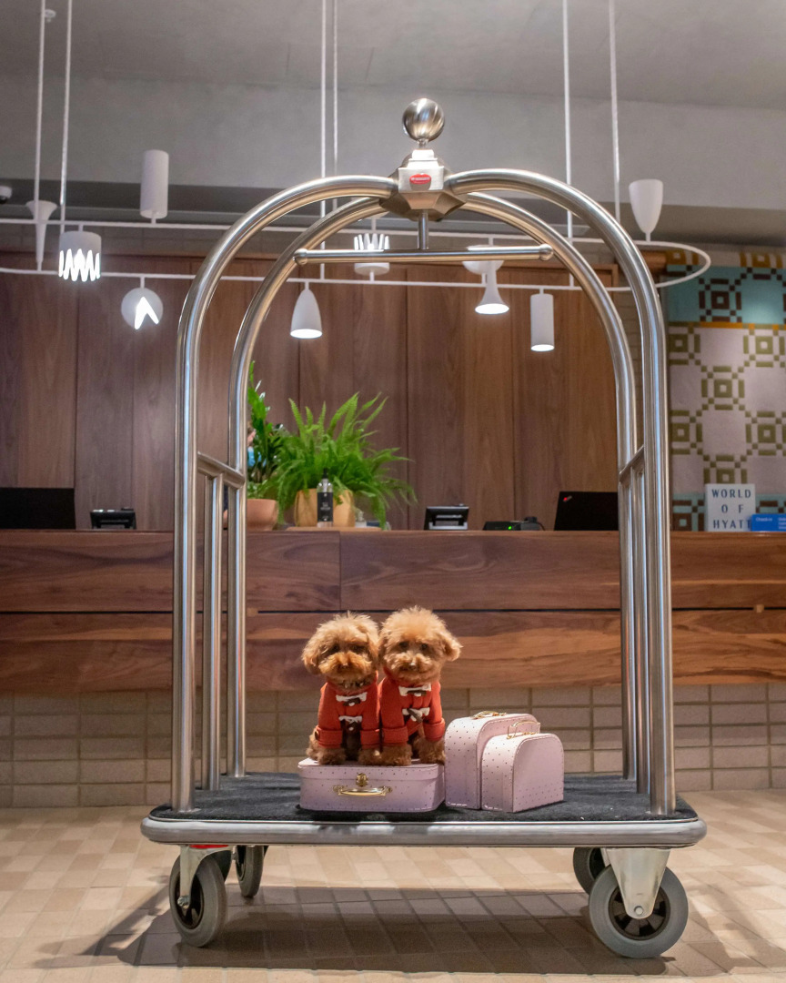 Foto - Hyatt Centric Melbourne