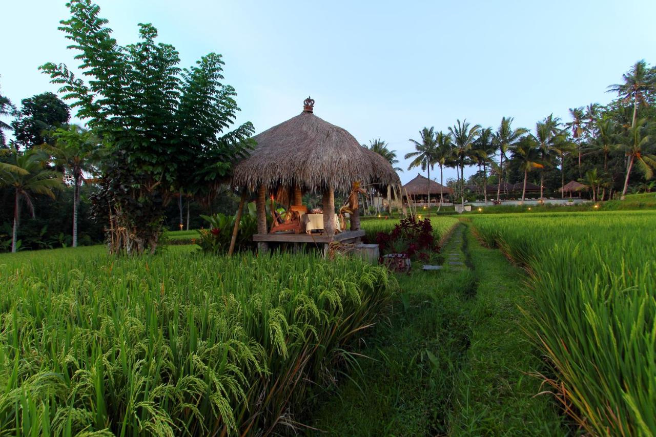 Foto - MATHIS Retreat Ubud