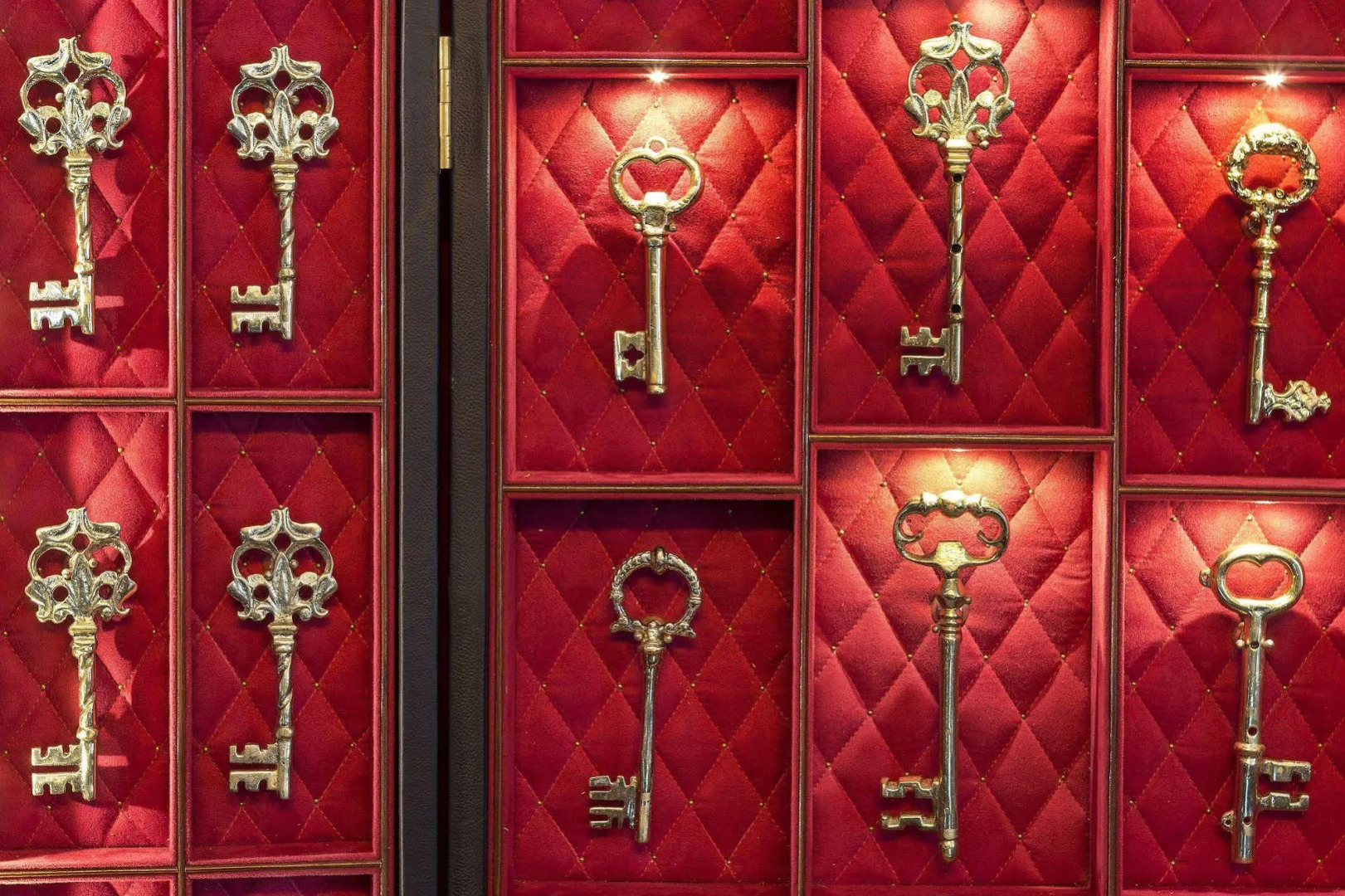 Photo - The Wild Oscar