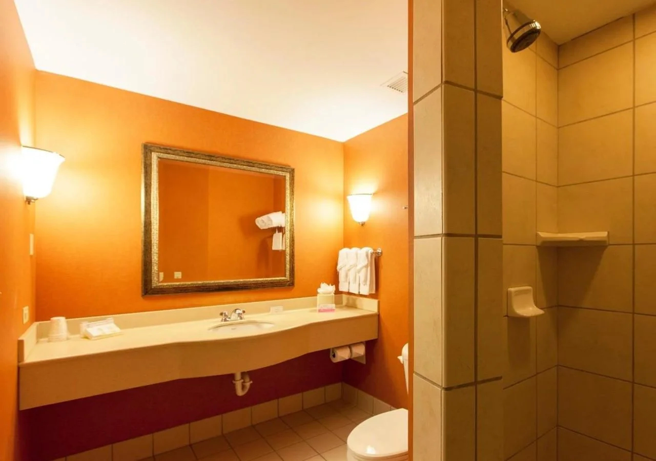 Foto - Hilton Garden Inn Chicago/Tinley Park