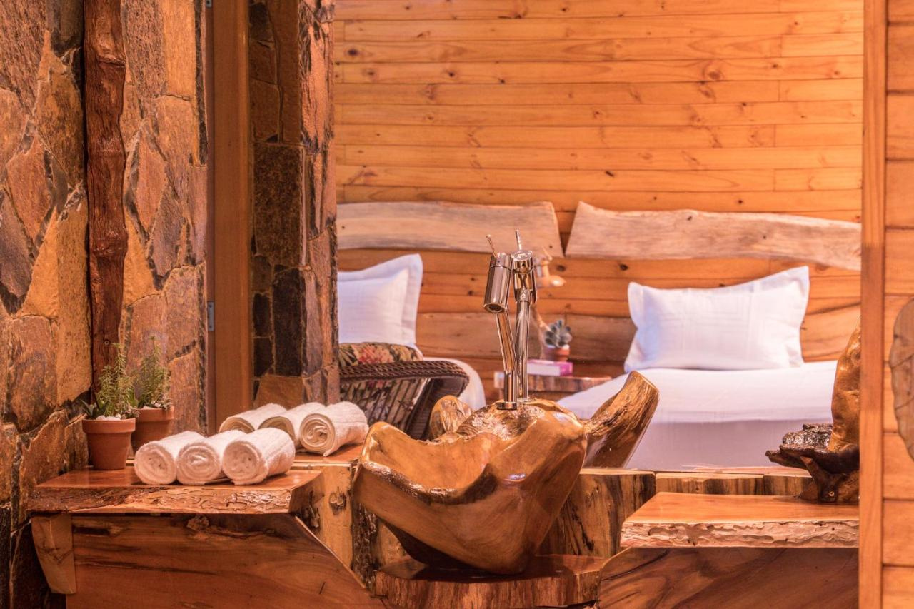 Foto - Tupa Lodge selva y río