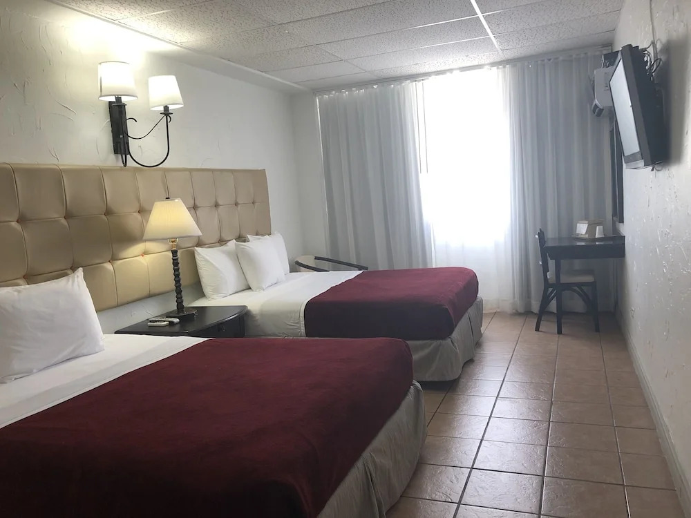 Foto - Coral by the Sea