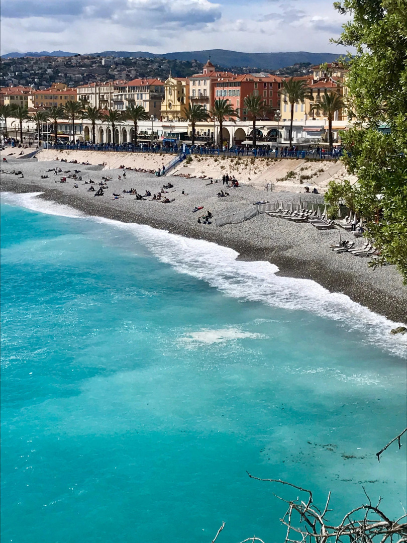 Photo - Le Windsor, Jungle Art Hotel