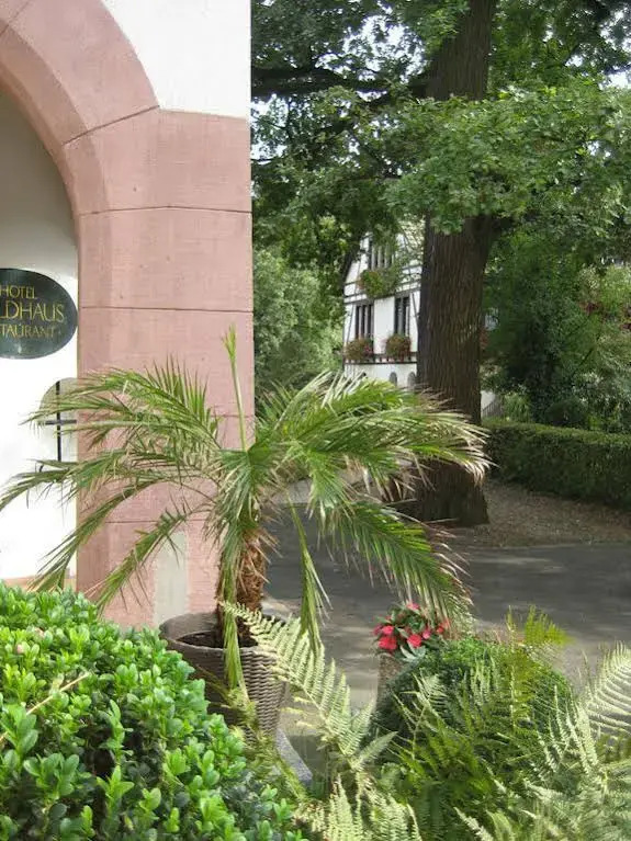 Foto - Boutique Hotel Waldhaus beider Basel