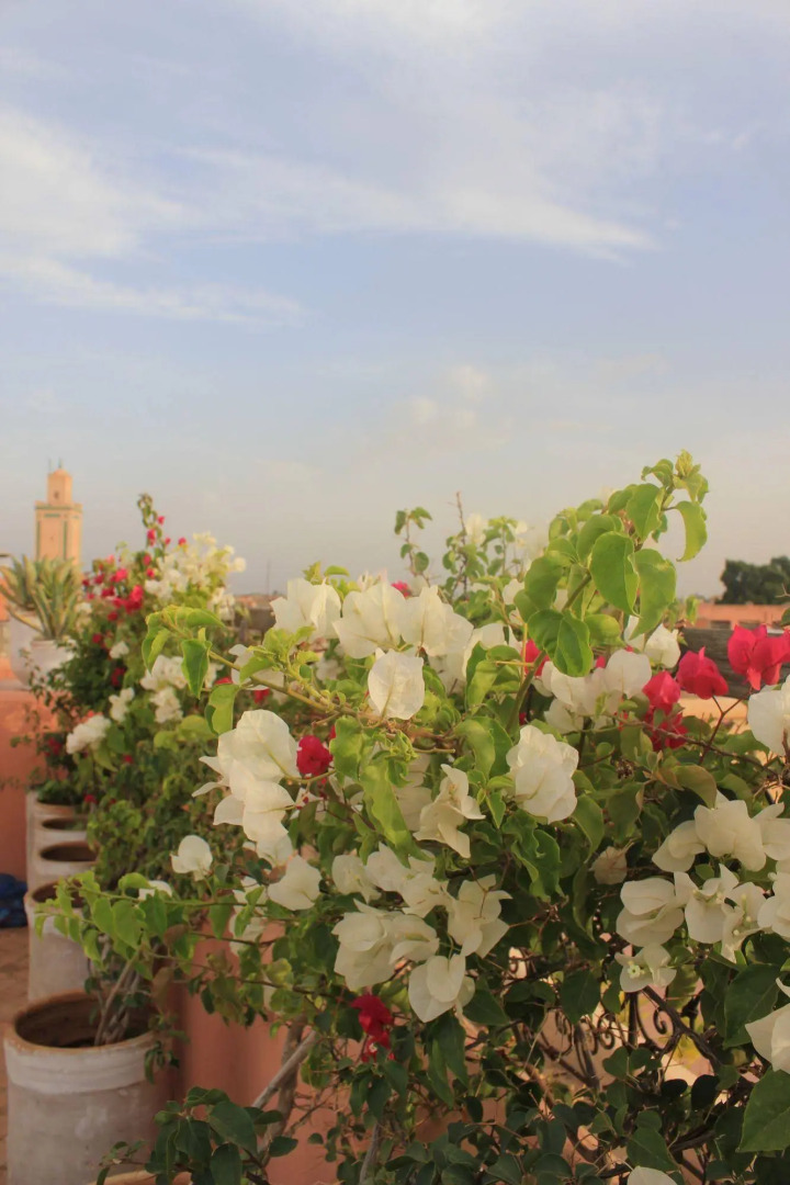 Photo - Riad du Ciel Marrakech