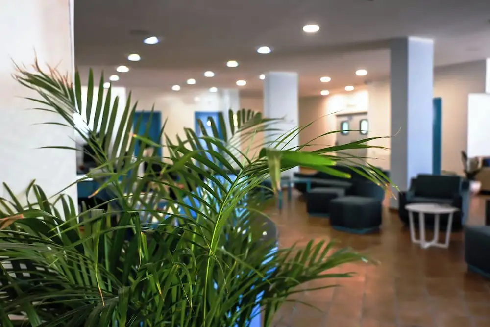 Foto - Hotel Baia Turchese