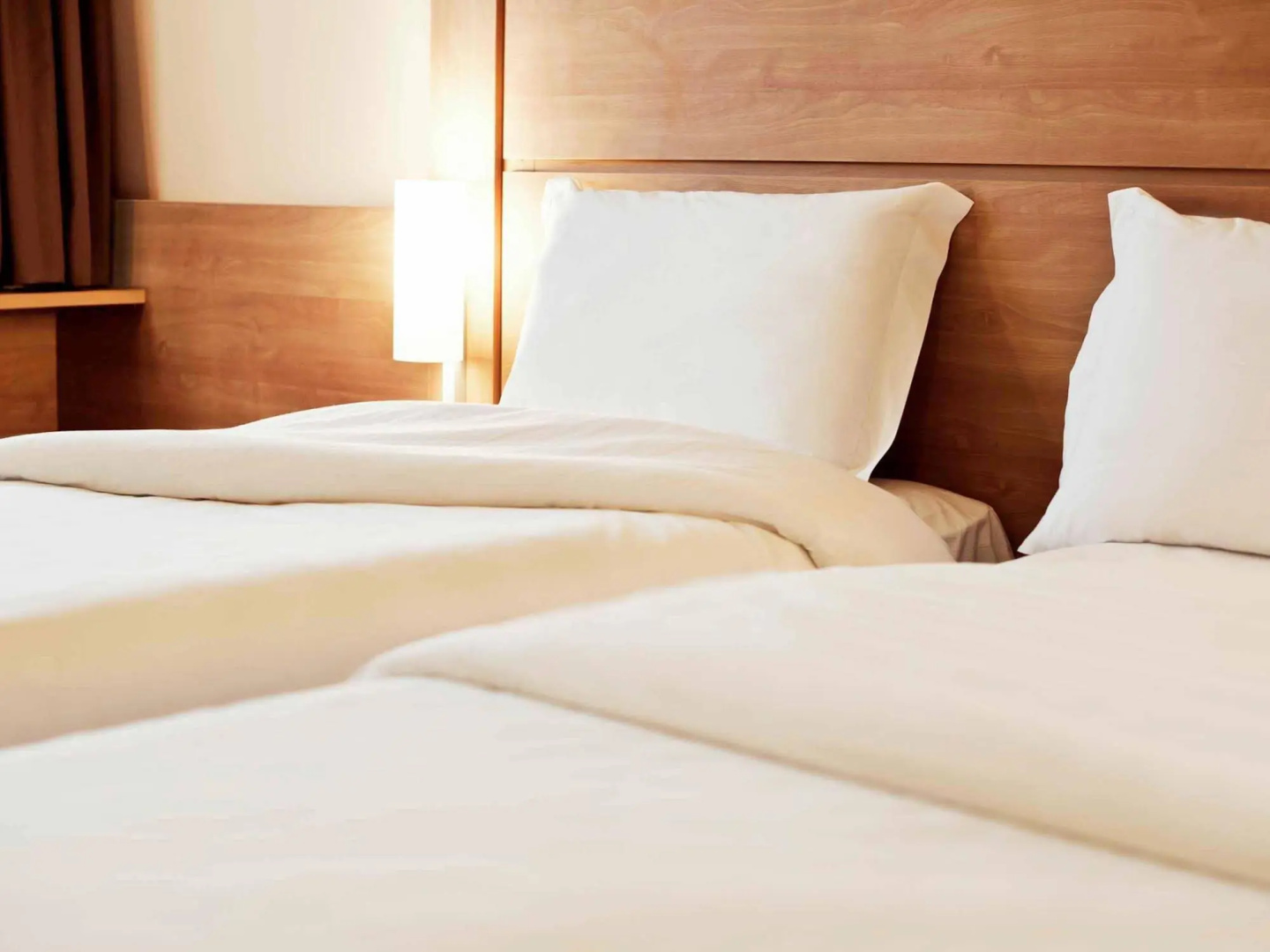 Ibis Novo Hamburgo