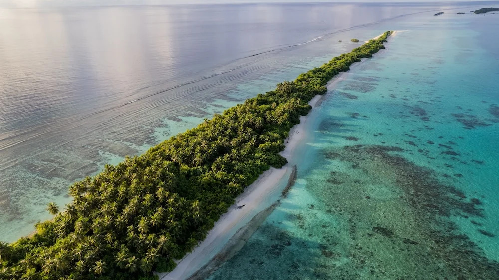 Foto - Whaleshark Beach