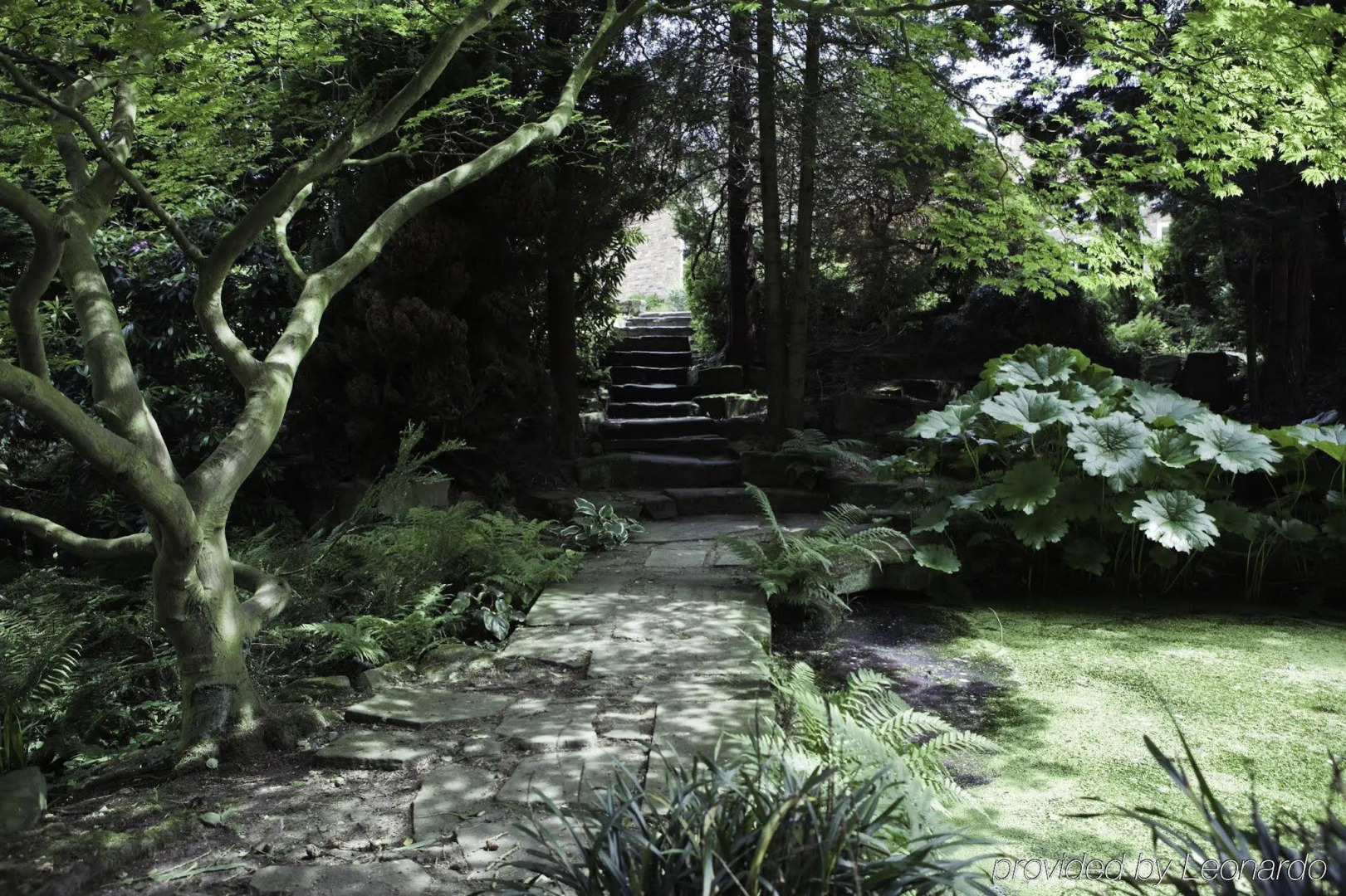 Photo - The Stanneylands