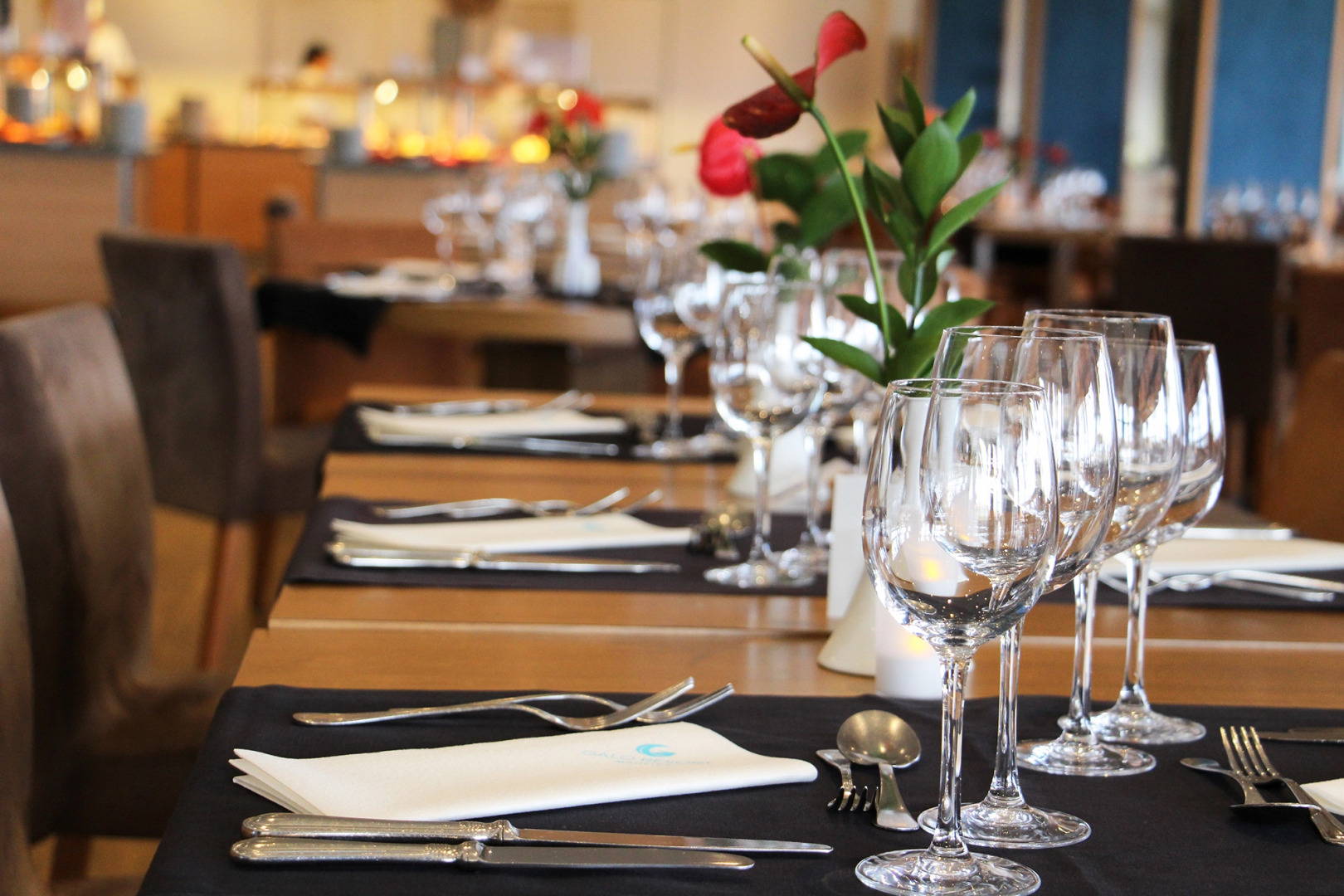 Foto - Sentido Galosol