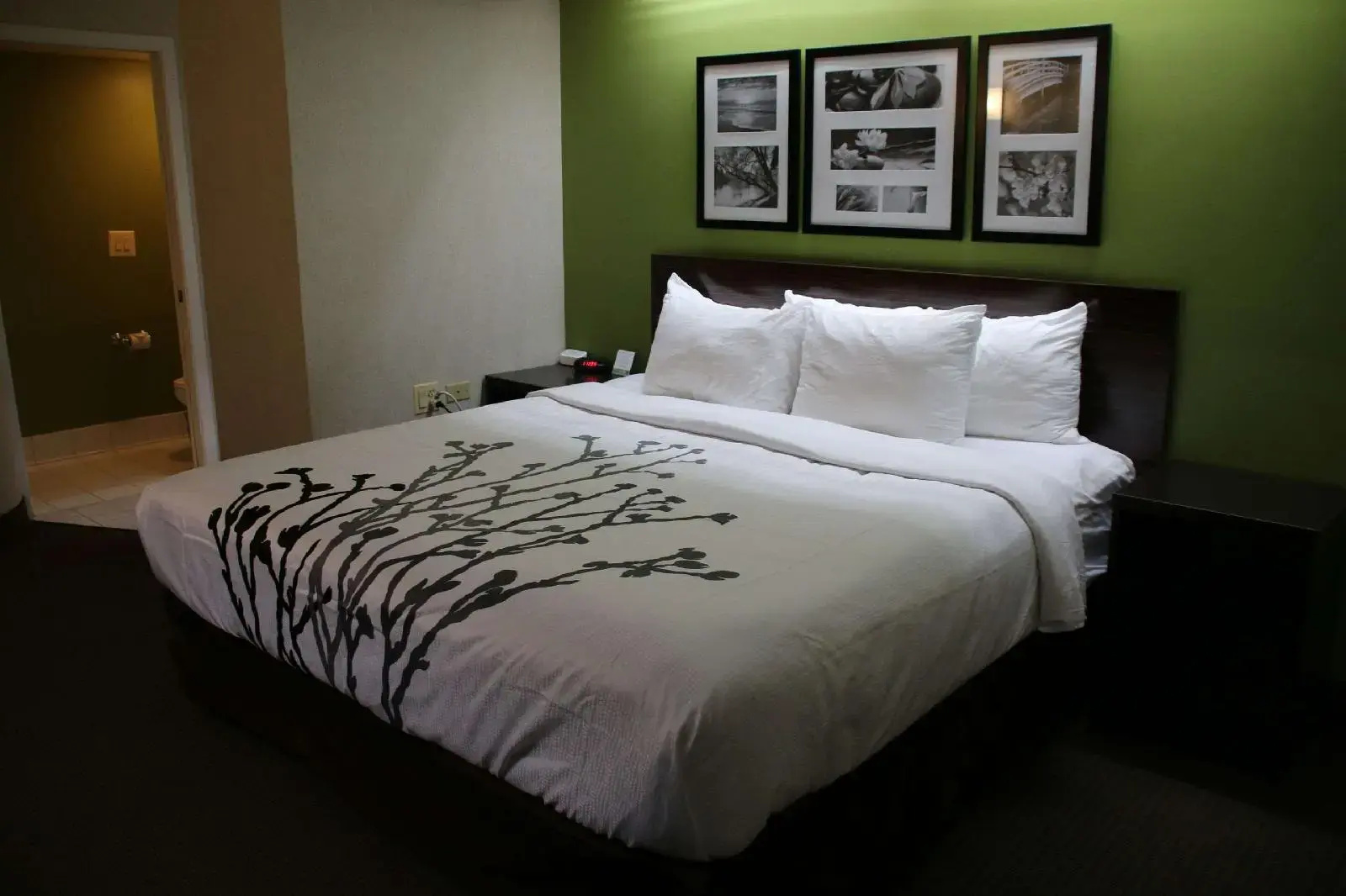 Foto - Sleep Inn near Great Lakes Naval Base