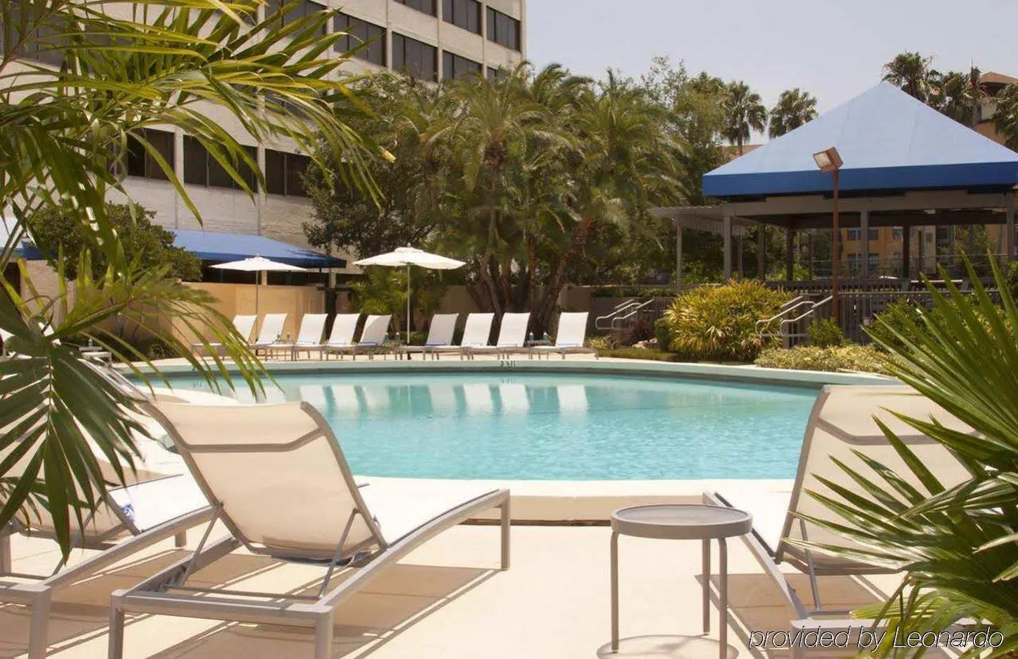 Photo - Hilton Tampa Airport Westshore