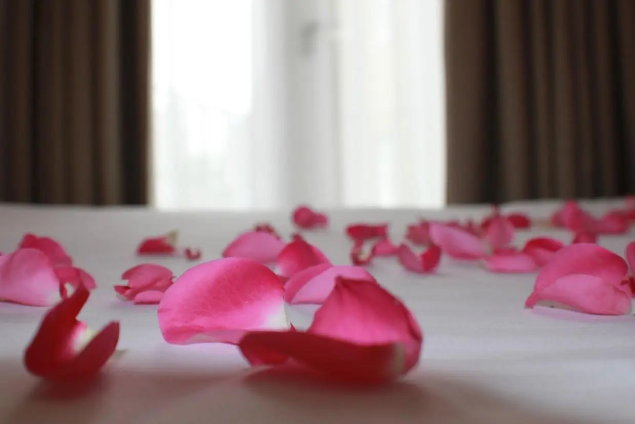 Foto - Sheriff Hotel