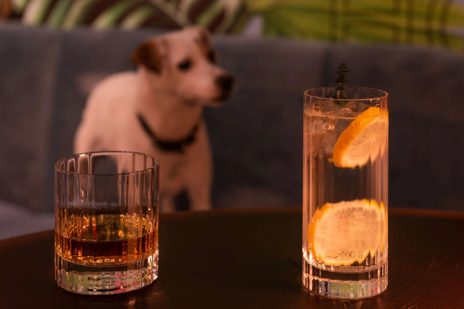 Foto - Golden Tulip Opera de Noailles