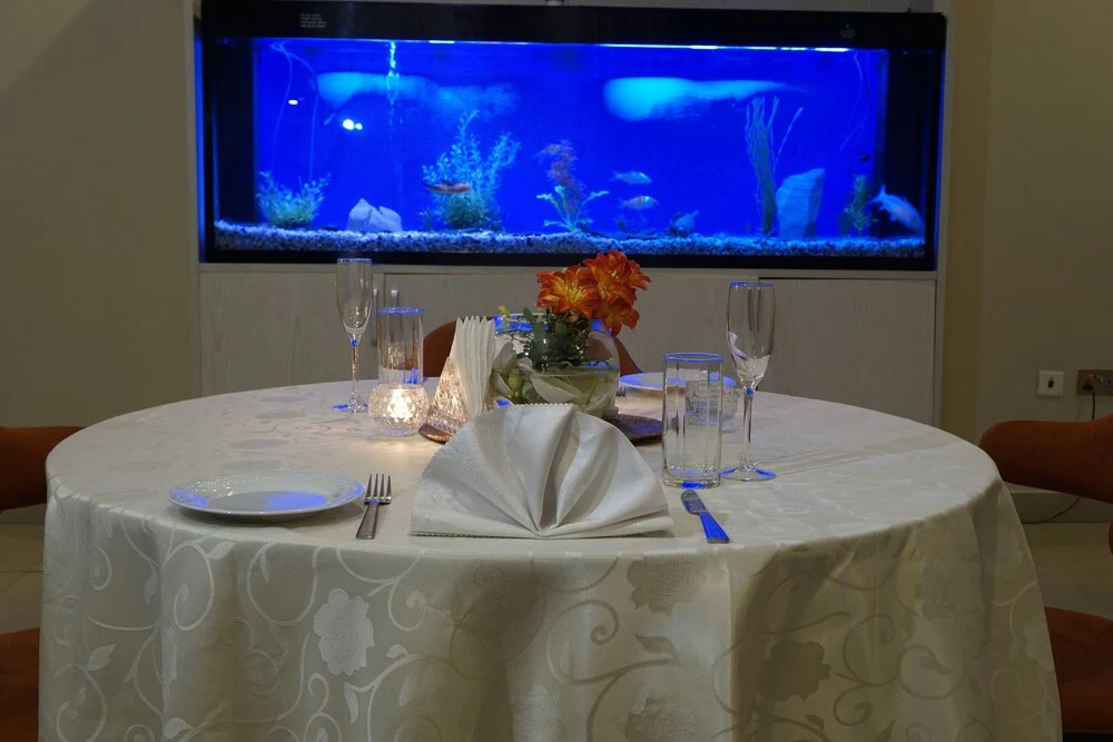 Foto - Sonia Hotel